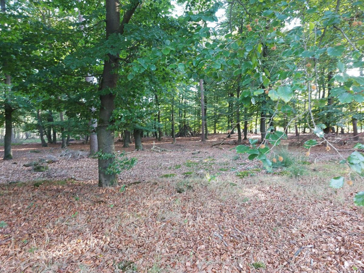 Chalet Wanama. Gelegen Op Het Vakantiepark Het Lierderholt Op De Veluwe. Beekbergen Exterior foto