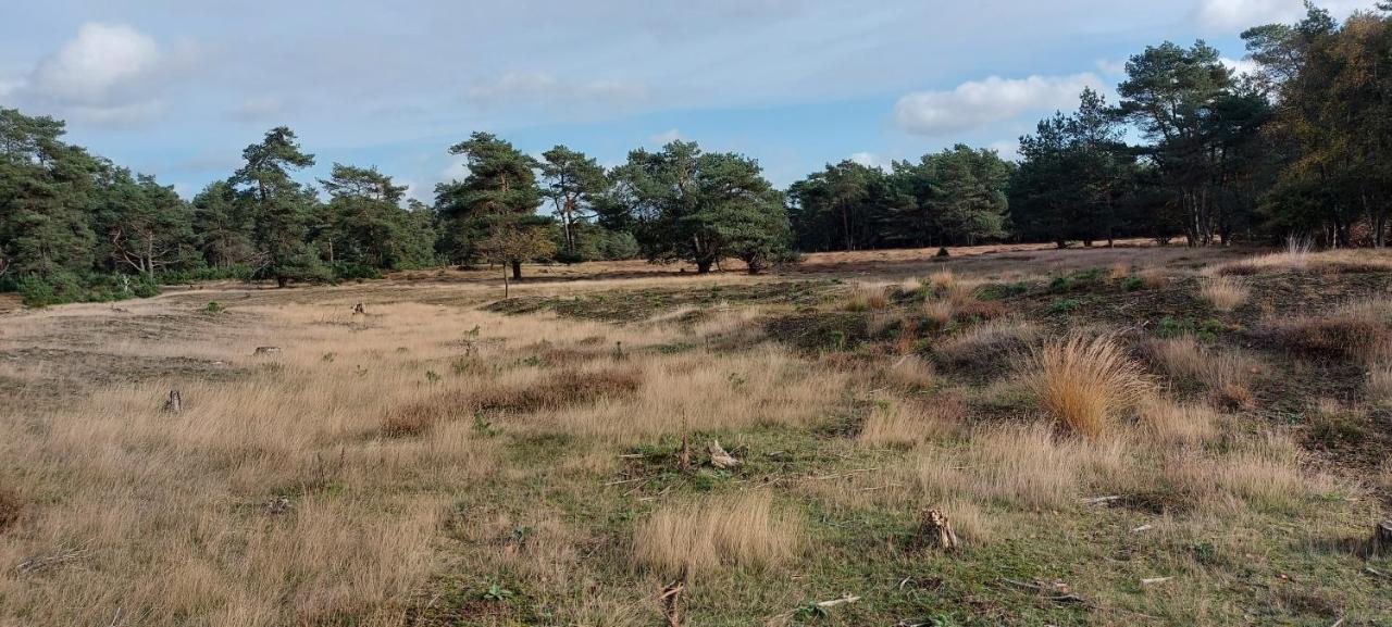 Chalet Wanama. Gelegen Op Het Vakantiepark Het Lierderholt Op De Veluwe. Beekbergen Exterior foto